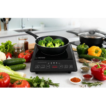 Esperanza EKH011 Black induction cooker