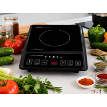 Esperanza EKH011 Black induction cooker