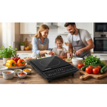 Esperanza EKH011 Black induction cooker