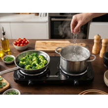 Esperanza EKH010K Electric cooker, top, 2 heating fields, black Esperanza EKH010K Electric cooker, top, 2 heating fields, black