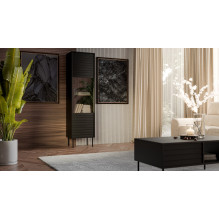 Cama CORTINA display cabinet 53x40x182 black Cama CORTINA display cabinet 53x40x182 black