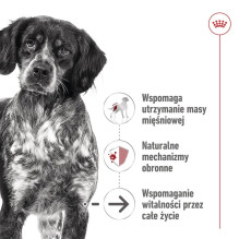 ROYAL CANIN vidutinio brandinimo sausas sausainis - šlapias šunų ėdalas - 410 g