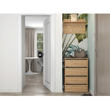 MODO X2 OAK ARTISAN SHOE CABINET
