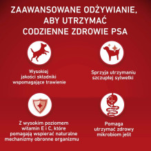 PURINA One Adult Medium / Maxi Weight Control / Sterilizuota sausas šunų ėdalas, gausus kalakutienos ir ryžių – 2,5 kg PURINA One Adult Medium / Maxi Weight Control / Sterilizuota sausas šunų ėdalas, gausus kalakutienos ir ryžių – 2,5 kg