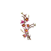 LEGO BOTANICALS 11510 Magnolia Branches LEGO BOTANICALS 11510 Magnolia Branches