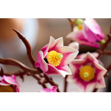 LEGO BOTANICALS 11510 Magnolia Branches LEGO BOTANICALS 11510 Magnolia Branches