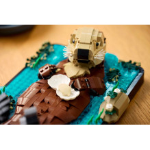 LEGO IDEAS 21366 Plaukiojančios jūrinės ūdros