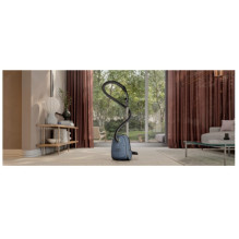 Vacuum cleaner ELECTROLUX EB61C2DBP