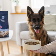 ADDVENA Power of Nature Adult Medium / Large Lamb - dry dog food - 10kg