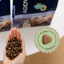 ADDVENA „Power of Nature“ senjorams skirtas sausas ėrienos ėdalas mažiems šunims su ėriena, 2,5 kg