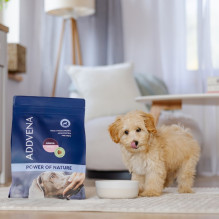 ADDVENA „Power of Nature Junior Small Lamb“ – sausas šunų ėdalas – 2,5 kg ADDVENA „Power of Nature Junior Small Lamb“ – sausas šunų ėdalas – 2,5 kg