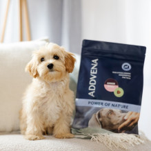 ADDVENA „Power of Nature Junior Small Lamb“ – sausas šunų ėdalas – 2,5 kg ADDVENA „Power of Nature Junior Small Lamb“ – sausas šunų ėdalas – 2,5 kg