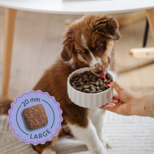 ADDVENA Boosted by superfoods Junior Medium / Large Beef - dry dog food - 10kg ADDVENA Boosted by superfoods Junior Medium / Large Beef - dry dog food - 10kg