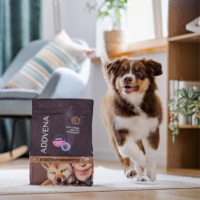 ADDVENA „Boosted by superfoods Junior Medium / Large Beef“ – sausas šunų ėdalas – 10 kg ADDVENA „Boosted by superfoods Junior Medium / Large Beef“ – sausas šunų ėdalas – 10 kg