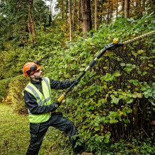 DeWALT DCMPH566N-XJ elektrinės gyvatvorių žirklės 3,6 kg
