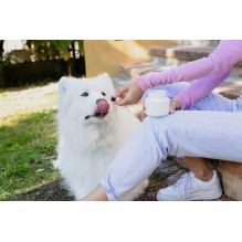 VIRBAC Movoflex S Joints - supplements for dogs - 30 pcs VIRBAC Movoflex S Joints - supplements for dogs - 30 pcs