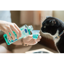 VIRBAC Vet Aquadent FR3SH - dental solution for oral hygiene for dogs and cats - 500ml VIRBAC Vet Aquadent FR3SH - dental solution for oral hygiene for dogs and cats - 500ml