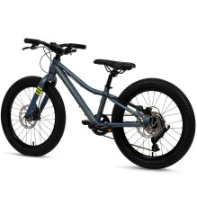 „Huffy MTB Batch Alu 20“ dviratis, chameleo spalvos (B374455W)