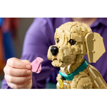 LEGO ICONS 11384 Auksaspalvio retriverio šuniukas