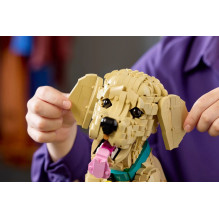 LEGO ICONS 11384 Auksaspalvio retriverio šuniukas