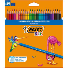 COLOURFUL PENCILS 937518