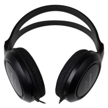 Ausinės Panasonic RP-HT161E-K