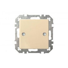 Įleistinis dangtelis-aklė...