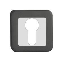 CYLINDER ESCUTCHEON TREND...