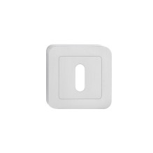 DOOR KEY COVER MATT NICKEL