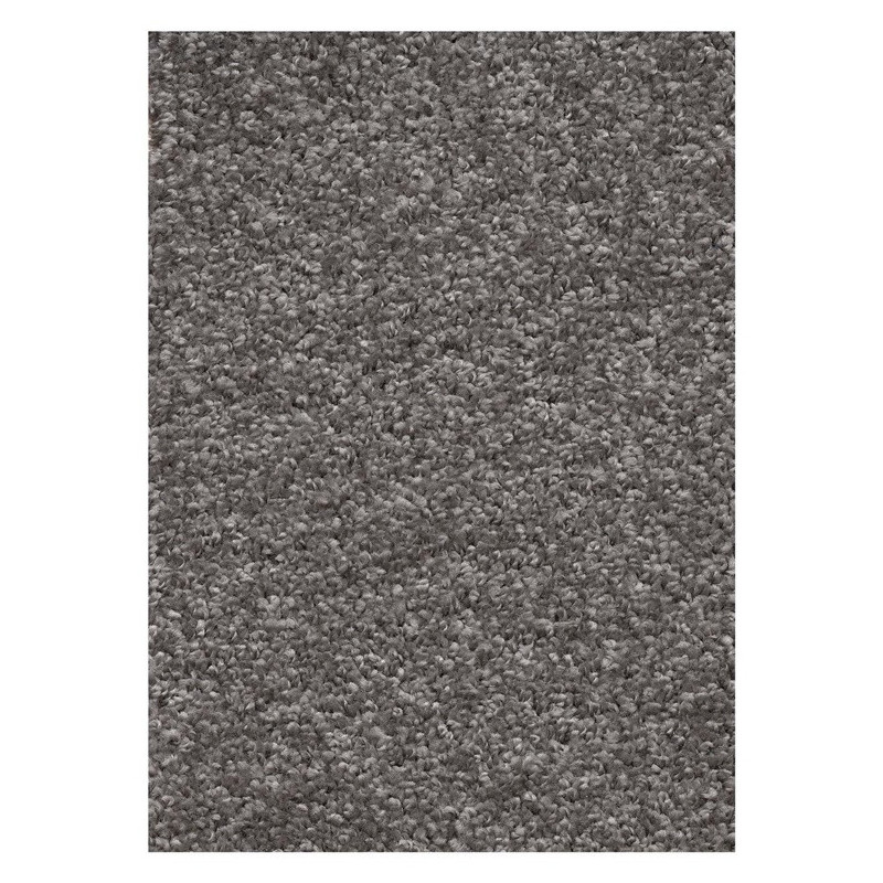 CARPETING FLORIDA 95 5M