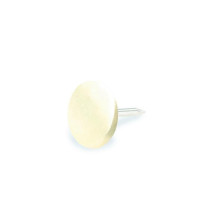 UPHOLSTERY NAIL 10 BRASS PLATED / 45PCS