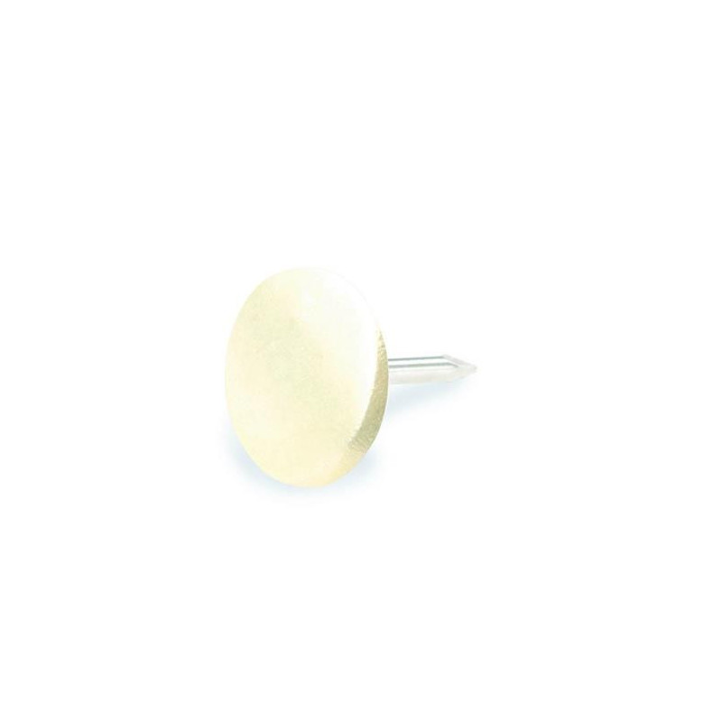 UPHOLSTERY NAIL 10 BRASS PLATED / 45PCS