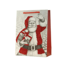 Gift bag Canpol TY-30S 26 x...