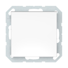SWITCH WHITE P110-010-02...