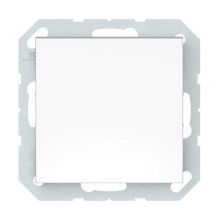 INTERMEDIATE SWITCH W...