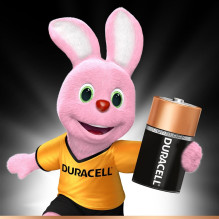 Elementai Duracell, LR14, 2 vnt.