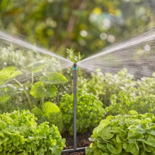 EXTENSION PIPE GARDENA FOR SPRAY NOZZLE 970630301 5 PCS.