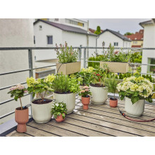 Laistymo sistema Gardena Micro Drip System Balcony 38 vnt
