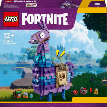 Konstruktorius LEGO®...