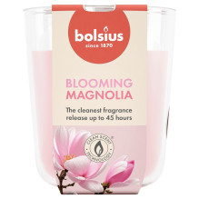 Žvakė, aromatinė Bolsius...