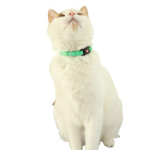 ZOLUX Chatouille green - cat collar ZOLUX Chatouille green - cat collar