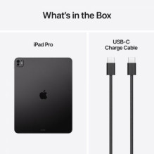 Apple iPad Pro 13" M5 WiFi+Cell 2TB, standartinis stiklas, kosminė juoda