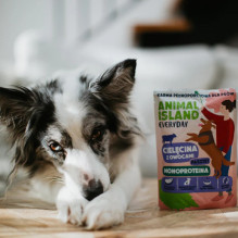 ANIMAL ISLAND Everyday Monoprotein Veal - wet dog food - 300g ANIMAL ISLAND Everyday Monoprotein Veal - wet dog food - 300g