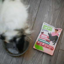 ANIMAL ISLAND Everyday Monoprotein Turkey - šlapias šunų ėdalas - 300 g