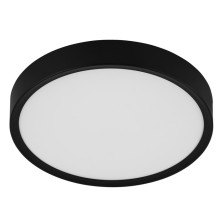 Pl.l.-MUSURITA 14.6W LED...