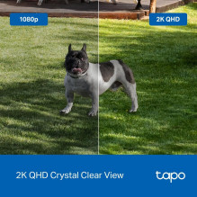 WRL CAMERA SMART H.264 / TAPO C425 TP-LINK