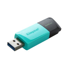 MEMORY DRIVE FLASH USB3.2 / 256GB DTXM / 256GB KINGSTON MEMORY DRIVE FLASH USB3.2 / 256GB DTXM / 256GB KINGSTON