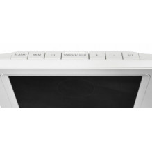 Blaupunkt WS40WH