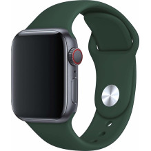 „Riff Classic“ silikoninis dirželis „Apple Watch“ serijai 42 / 44 / 45 mm, žalias „Riff Classic“ silikoninis dirželis „Apple Watch“ serijai 42 / 44 / 45 mm, žalias