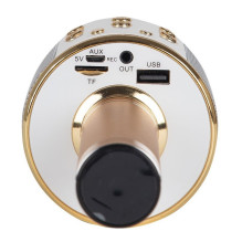 Riff WS-858 karaoke mikrofonas su garsiakalbiais, Aux ir Micro SD, juodas